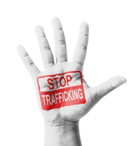 Open hand raised, Stop Trafficking sign painted, multi purpose c